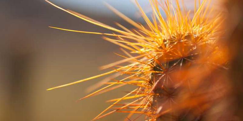 サンプル記事 11: テスト投稿