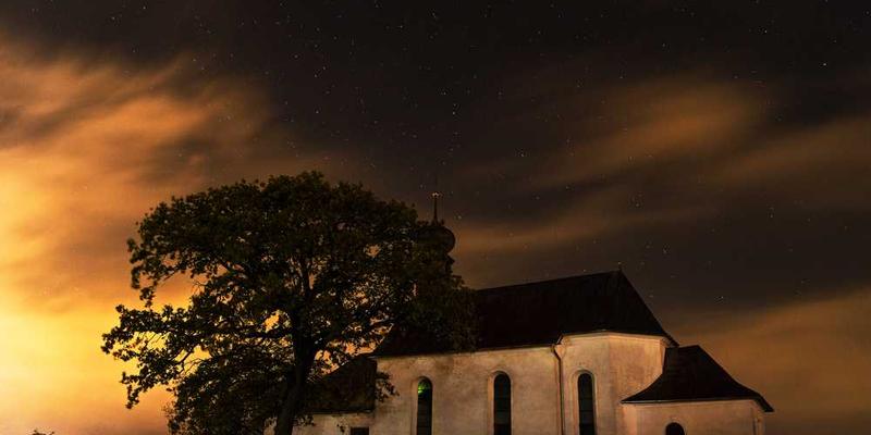 サンプル記事 14: テスト投稿