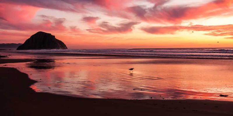 サンプル記事 15: テスト投稿