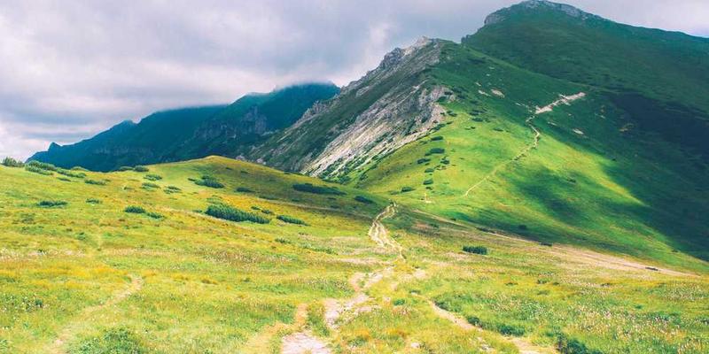 サンプル記事 8: テスト投稿