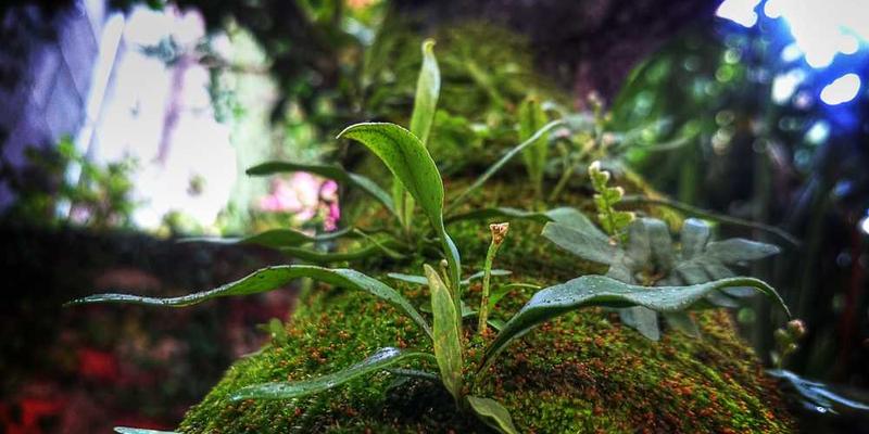 Getting Started with Hugo